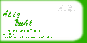 aliz muhl business card